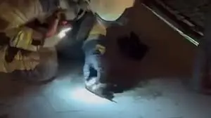 Bayrampaşa’da Market Yangınından Kurtarılan Kediye İtfaiye Erinden Kalp Masajı